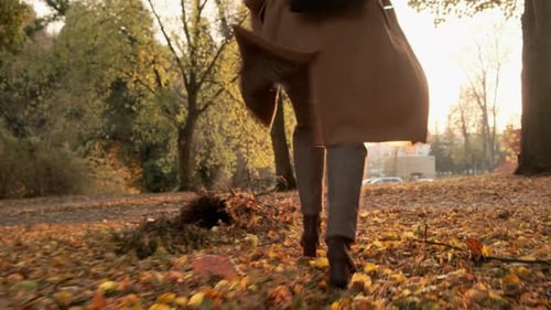 Person Walking Through Fall Leaves at Golden Hour