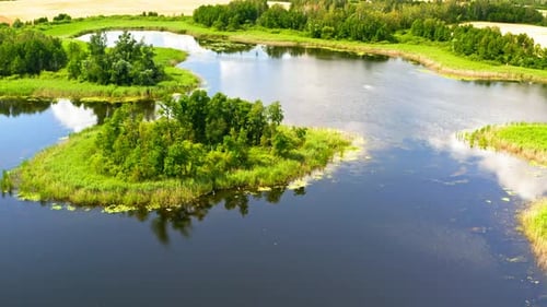 Amazing green swamps and blue pond in summer, aerial view