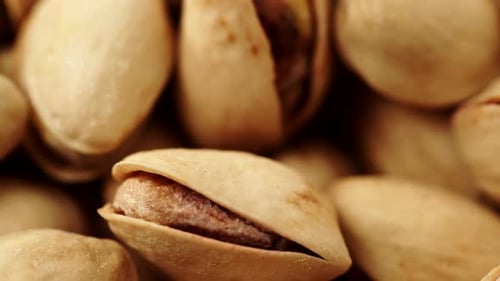 Pistachios in Shell Macro Close Up