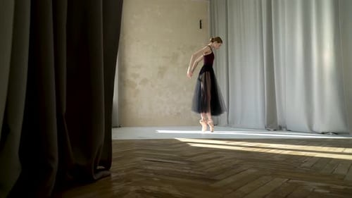 Elegant Ballerina Performing Ballet in Sunlit Studio