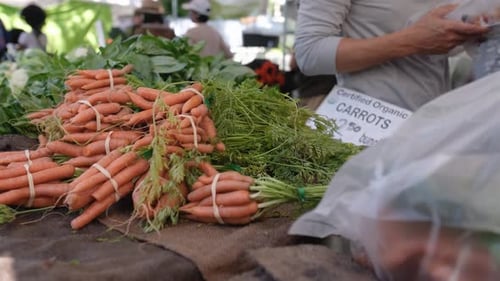People buying certified organic carrots in local street market