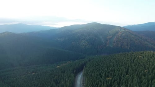 Montagnes magnifiques avec paysage d'arbres forestiers profonds et route incurvée