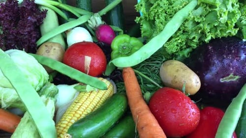 Fresh Colorful Vegetables Close-Up Display of Healthy Food
