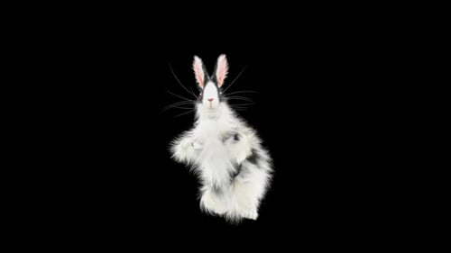 Fluffy Rabbit Character Standing and Waving Animated