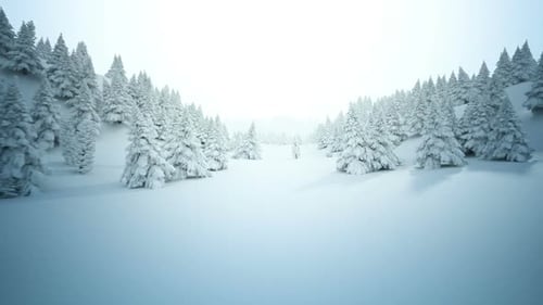 Animation der weißen verschneiten Winterlandschaft unter dem wolkenlosen Himmel.
HD