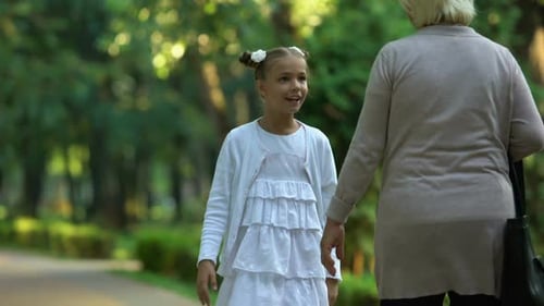 Girl Asking Granny to Go Roller Coaster, Dreaming of Visiting Amusement Park