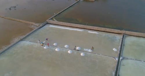 White salt field in a beach village in Vietnam countryside