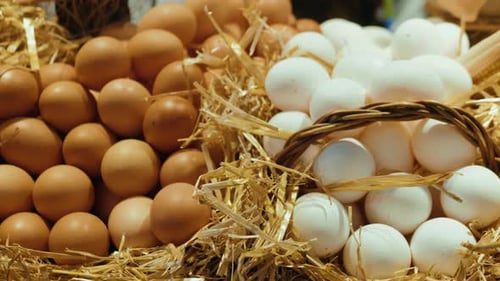 Market Shop Egg By a Lot of Egg Shelf in the Background