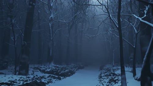 Allée forestière dans un épais brouillard. Arbres nus en hiver. Paysage sombre et maussade
.
