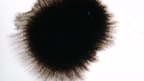 Black Ink Drops On White Background