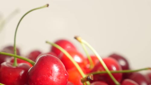 Cerises aigres sur fond blanc, nourriture à inclinaison lente, images naturelles 4K 2160p UltraHD - Wet Prunus c