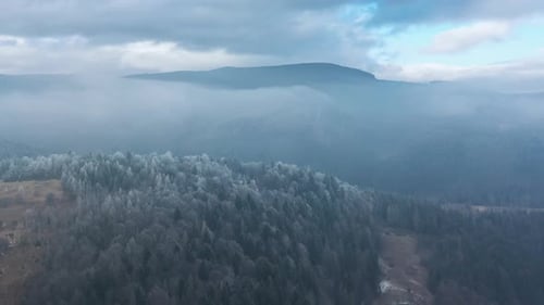 Flying Over a Fabulous Winter Forest the Trees Are Covered with Frost the Fog Swirls Over the