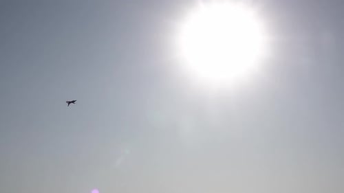 Flugshow