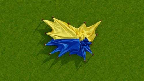 Ukrainian Flag Realistic Unfurl on Green Grass