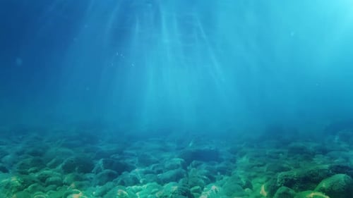 Unterwasser-Animation