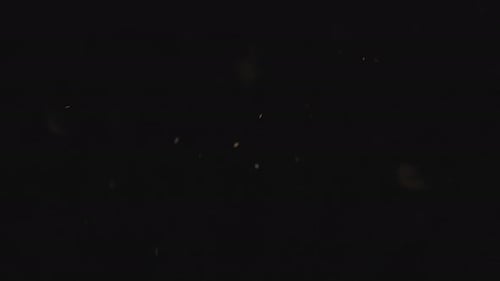 Coffee Beans Falling Against Black Background