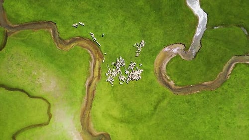 Une prairie verdoyante dans les montagnes de Turquie filmée sur un Drone