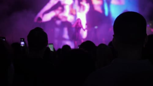 Crowd Making Party at a Rock Concert