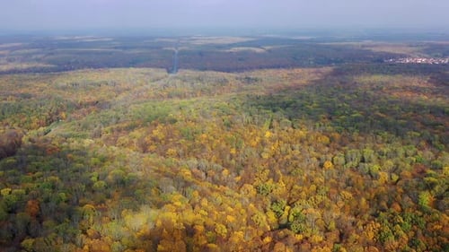 Panoramic view of autumn scenery. Beautiful woods in fall season.