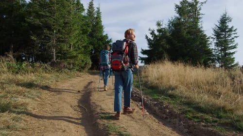 Excursionistas caminando por la carretera en el bosque