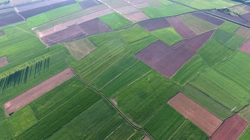 Green and Brown Field Parcels on Flat Plain in Soft Topography