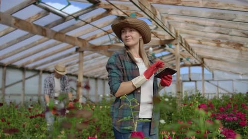 Woman Using Tablet in Rose-Filled Greenhouse