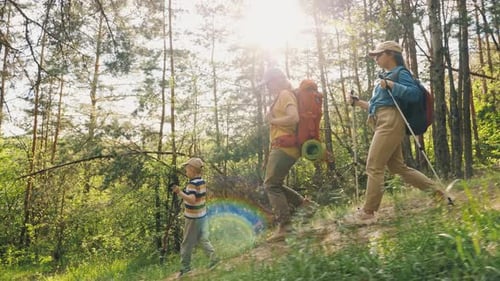 Family Hiking Through a Forest at Sunny Weather