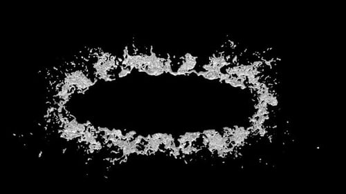 Dynamic Fluid Splash Oval Reveal Logo Transition