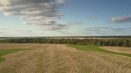 Aerial View Green Forest Among Endless Fields in Autumn