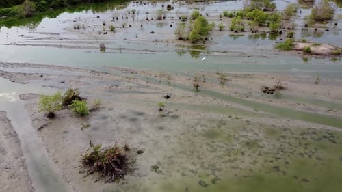 Aerial View of Wetlands with White Bird