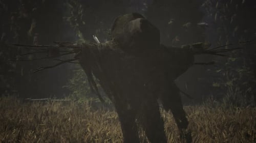 Scarecrow on the Old Village Field