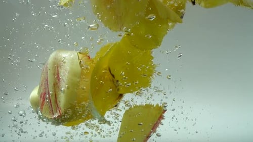 Blütenblätter von Tulpen fallen ins Wasser 8