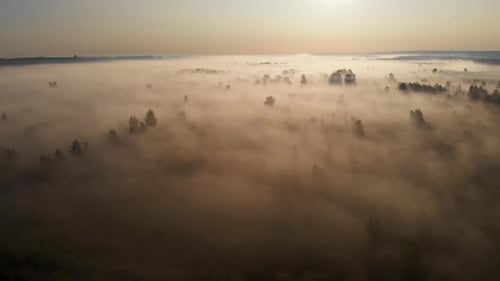 Epic aerial view of sunrise fog covering field with trees