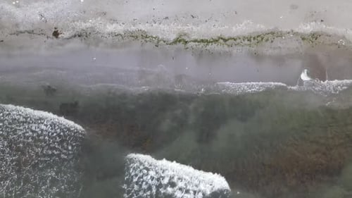Sea Waves
