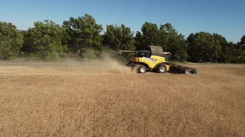 Wheat Harvesting with Combine Harvester Tractor in Agriculture Farm Field