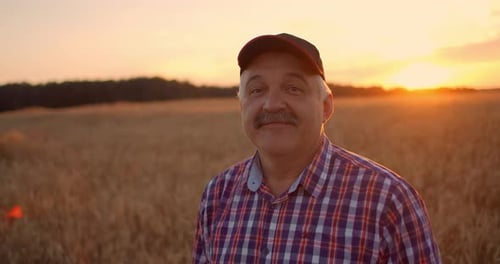 Portrait of a Smiling Senior Adult Farmer in a Cap in a Field of Cereals, In the Sunset Light