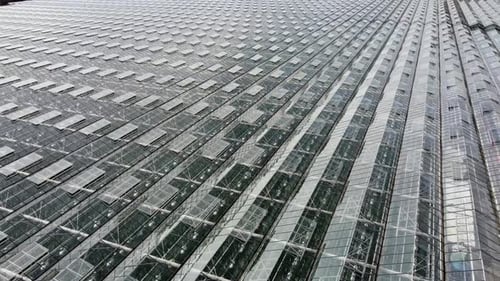 Aerial View of Massive Glass Greenhouse Structure