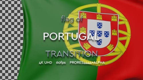 3D Waving Flag Reveal Transition