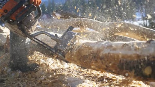 Unrecognizable Man Grinding Log with Electric Saw in Sunny Winter Forest