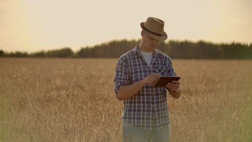 Farmer Using Tablet in Wheat Field