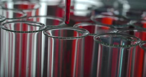 Test Tubes in the Microbiological Lab