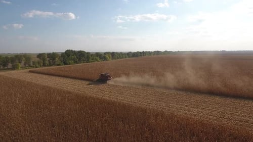 Combine Harvester Harvesting Golden Corn in Rural Field