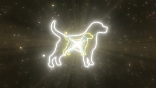 Standing Dog Hound Pooch Canine Shape Glow Bright Neon Lights Tunnel - 4K