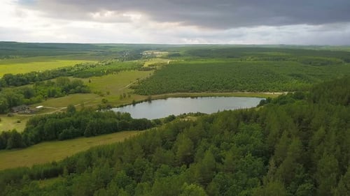 Forest Lake