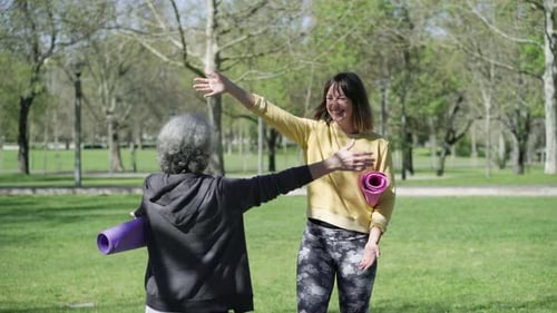 Fitness Trainer and Client Meeting in Park