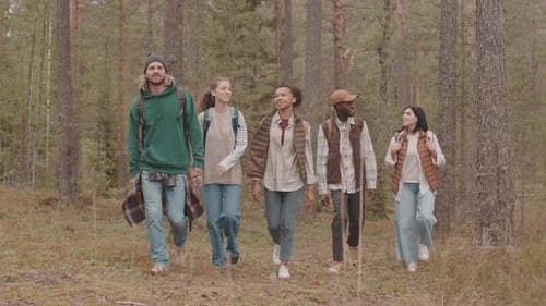 Multi-Ethnic Friends Hiking in Forest