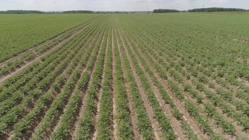 Aerial View of Farmland