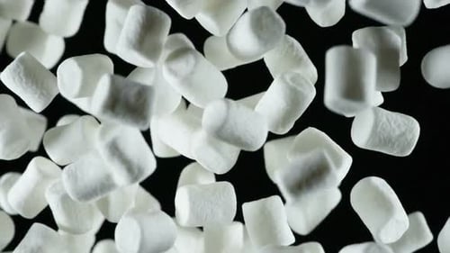 Appetizing Little Marshmallow
