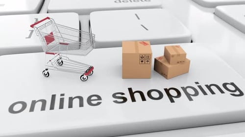 Shopping Cart and Online Shopping Order in the Internet Eshop Ecommerce 3d