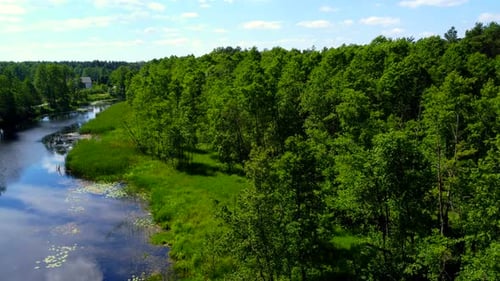 Lake And Trees